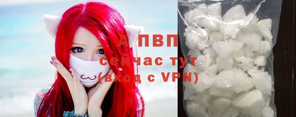 шишки Баксан