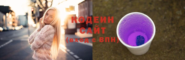 шишки Баксан