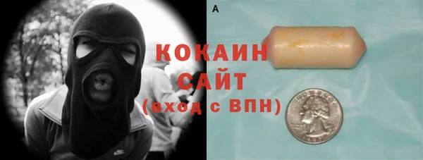 шишки Баксан
