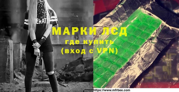 шишки Баксан