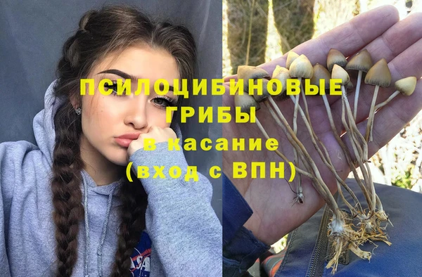шишки Баксан