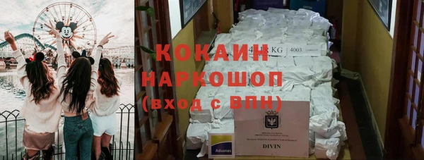шишки Баксан