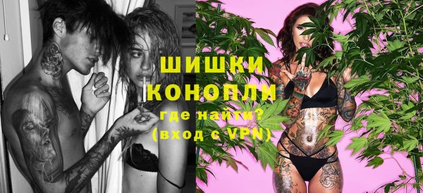 шишки Баксан